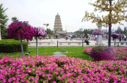 西安追星吃瓜娱乐公司